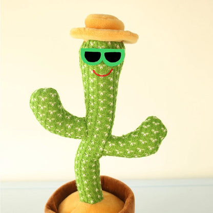 CACTUS BAILARÍN